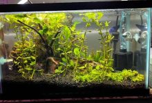Aquarium Filter for Small Tanks