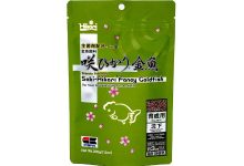 Saki-Hikari Fancy Goldfish
