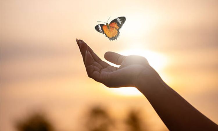 Hope for Seasons of Renewal and New Beginnings