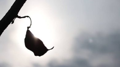 Hope for Seasons of Waiting and Uncertainty