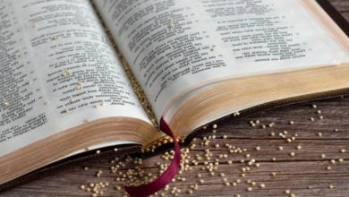 bible verses about strength