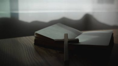 bible verses for comfort