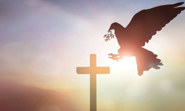 Peace That Surpasses Understanding