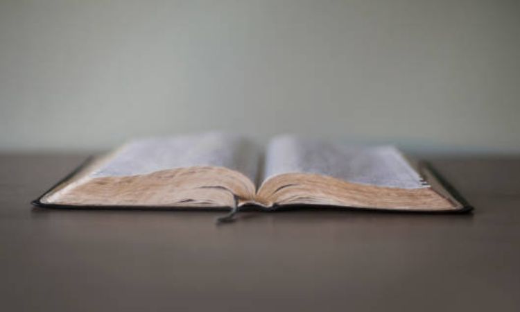 Return to Scripture Daily