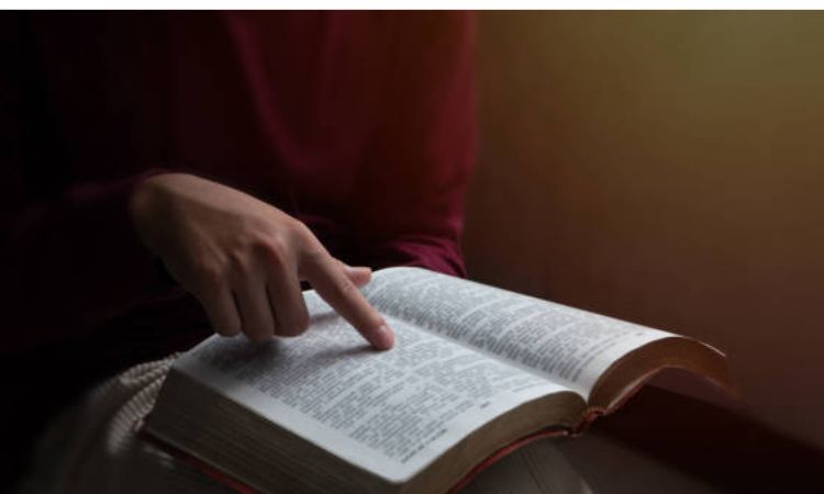 You Return to Scripture for Direction